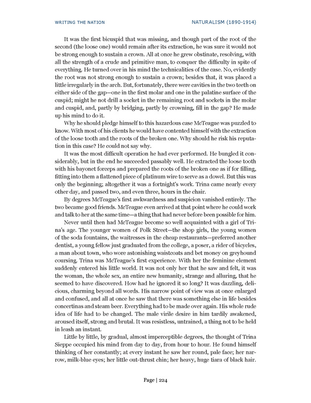 Writing the Nation - Page 224